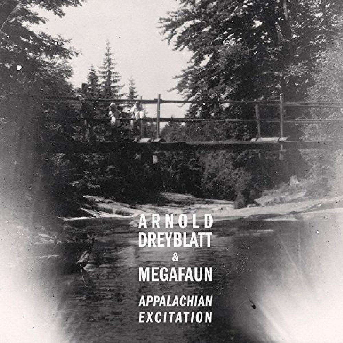 Arnold Dreyblatt and Megafaun - Appalachian Excitation