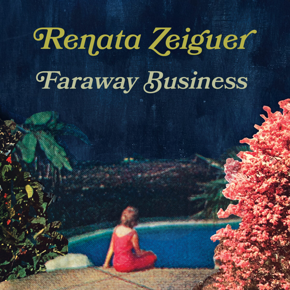 Renata Zeiguer - Faraway Business