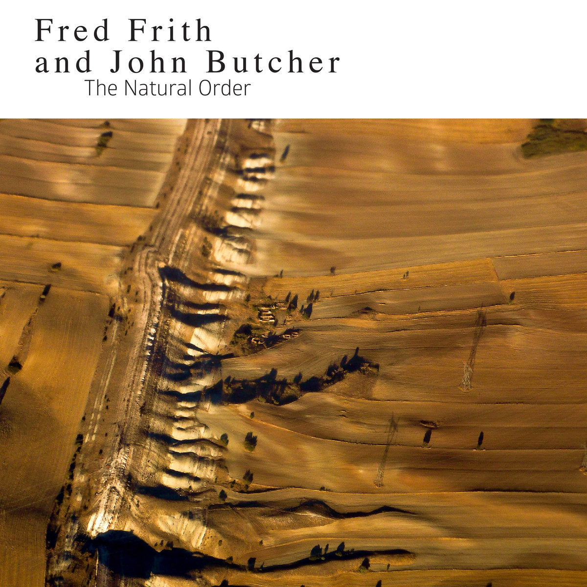 Fred Frith / John Butcher - The Natural Order