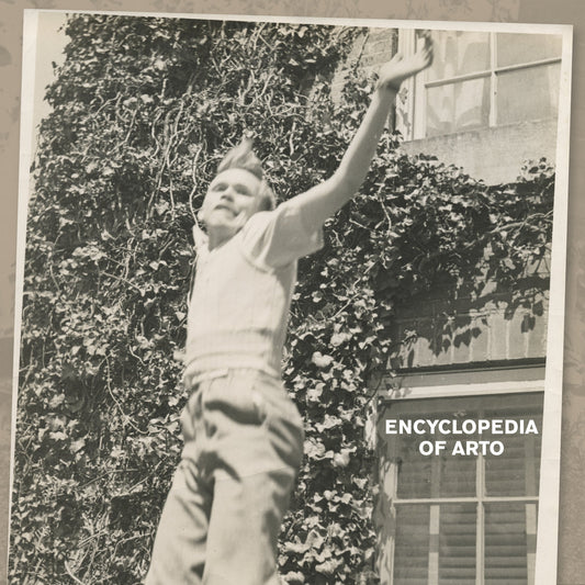 Arto Lindsay - The Encyclopedia of Arto