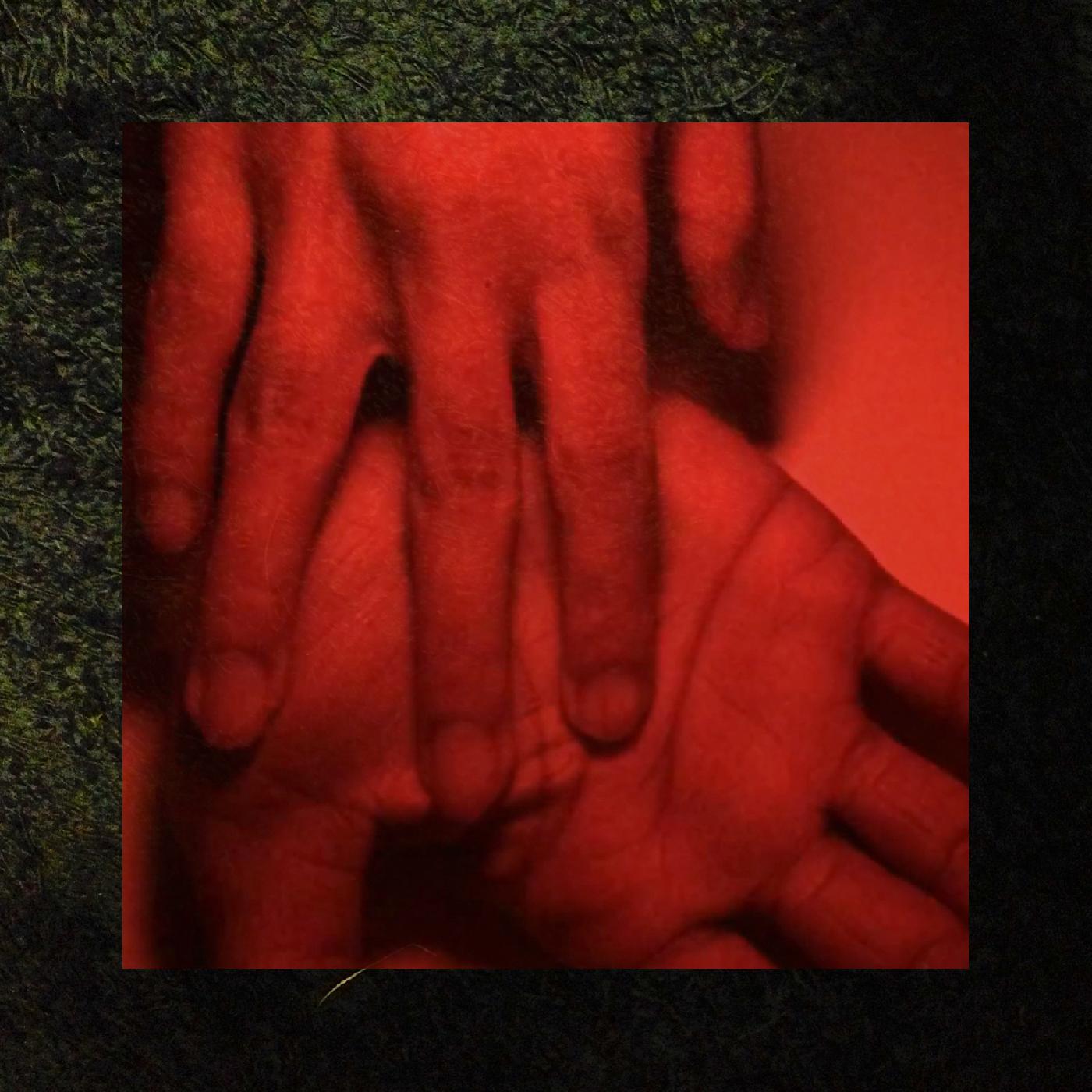 Rachika Nayar - Our Hands Against the Dusk